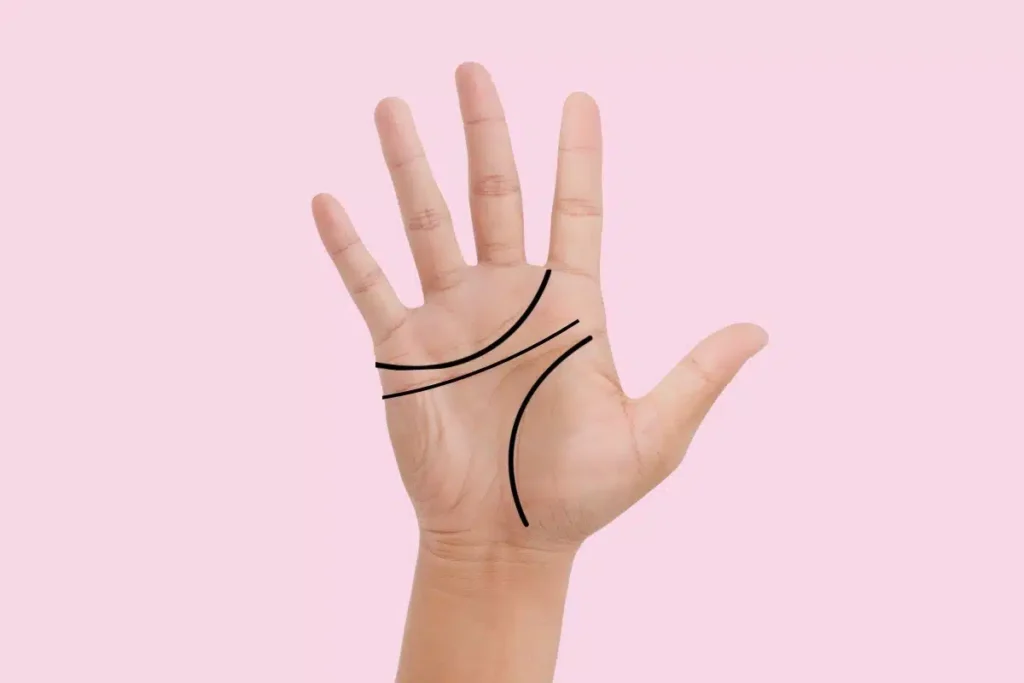 Ligne de la main mort : découvrez la vérité cachée dans vos paumes ligne de la main mort